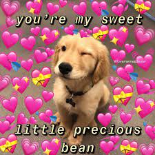 My Dog Winks At Me All The Time And It S Kinda Weird Follow Lovememesdealer For More Mood Cutememe L Cute Memes Love You Meme Cute Love Memes
