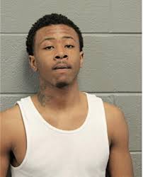 ᐅ Illinois Criminal Records 2009-2025