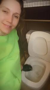 Gun maintenance and safety while watching