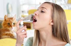 Bengal Katze Katzenallergie Welche Symptome Auftreten