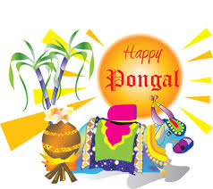 Happy mattu pongal whatsapp status video download. Happy Thai Pongal Wishes To All Our Aromas Restaurant Facebook