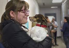 Maybe you would like to learn more about one of these? As Dogs Seized At Brunswick Home Are Adopted An Early Bird Gets Her Birdie Portland Press Herald