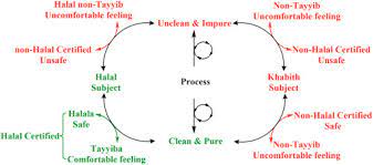 Rational And Practical Aspects Of Halal And Tayyib In The Context Of Food Safety Sciencedirect