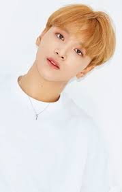 Ada 4 sub grup nct yakni nct u, nct 127 (berbasis di seoul), nct dream (khusus member di bawah 20 tahun) dan wayv (berbasis di china). Biodata Profil Fakta Dan Foto Member Nct Dream Dailysia