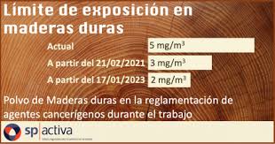 Polvo De Maderas Duras En La Reglamentacion De Agentes Cancerigenos Durante El Trabajo Sp Activa