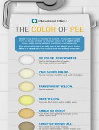 Urine Color Chart Free Download Edit Fill Create And