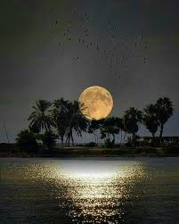 See more ideas about moon pictures, pictures, beautiful moon. Beautiful Full Moon Pejzazhi Zhivopisnye Pejzazhi Fotografii Prirody