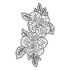 Maybe you would like to learn more about one of these? Hibiscus Flowers Stroke Transparent Png Svg Vector