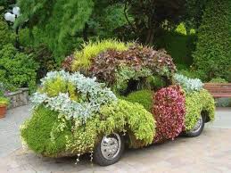 Anyone That Knows Me Or Is Watching Our Pins Knows I Love A Bug Vw Well This Just Got Better And Green Kleinen Raumgartnerei Garten Blumen Anbauen