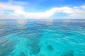 Spanish nouns have a gender, which is either feminine (like la mujer or la luna) or masculine (like el hombre or el sol). Sea In Spanish English To Spanish Translation Spanishdict