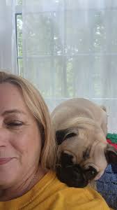 The Dark Side of Pug Life…