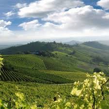 Agriturismo Und Weingut In Den Hugeln Des Piemonts Mit Bildern Piemont Weingut Kinderbecken