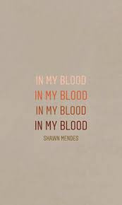 Shawnmendes Wallpaper Background Shawnwallpaper Ig Shawn Mendes Songs Shawn Mendes Shawn Mendes Quotes