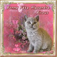 Https Encrypted Tbn0 Gstatic Com Images Q Tbn 3aand9gctnfsktjrl4nm9agq Da3e Gdreqtod4xayiw Usqp Cau