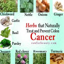 Pin On Foods That Fight Colon Cancer