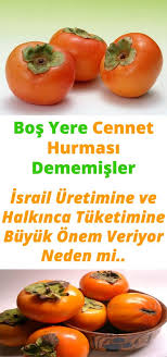 Bosa Cennet Hurmasi Demiyorlarmis Health And Wellness Health Health Fitness