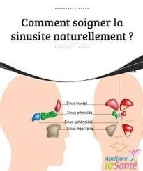 You can choose the astuces de grand apk version that suits your phone, tablet, tv. Comment Soigner La Sinusite Naturellement Ameliore Ta Sante Comment Soigner Sinusite Remede Sinusite