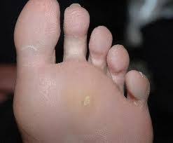 Thai Fast Dictionary