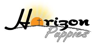 If you are unable to find your labrador retriever puppy in our puppy for sale or dog for sale sections, please consider looking thru thousands of labrador retriever dogs for we specialize in silver labs, charcoal labs and champagne labs. Horizon Puppies Beautiful Champagne Charcoal Chocolate Red Fox Silver Yellow Labrador Retriever And English Cream Golden Retriever Puppies For Sale Or Adoption Indiana Ohio Michigan