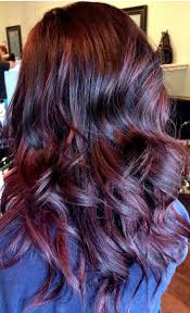 Brown Red Hair Hair Styles Pretty Hair Color Violet Brown Hair