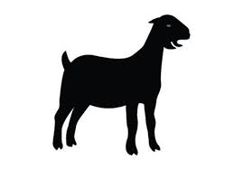 Black And White Goat Images Clip Art Image Result For Nubian Milk Goat Silhouette Goat Clipart Bocetos De Animales Bocetos Animales