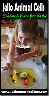 Plants, like grass, and trees. Super Cute Jello Cell Model Animal Cell Animal Cell Project Cells Project
