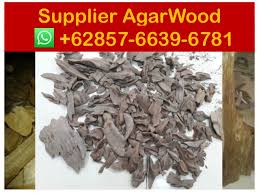 Either way, the tree is valuable because of one thing: Agarwood Market In China Suppliers 62 857 6639 6781 Whatsapp A