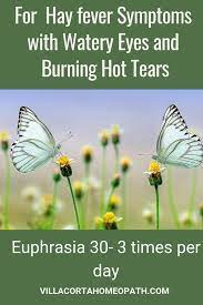 Homeopathic Remedies For Allergies Watery Eyes Homeopathy Hay Fever