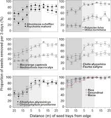 Image result for Rytigynia ruwenzoriensis