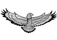 Drawing color pencils bird pesquisa google color pencil. Eagles Coloring Pages