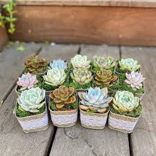 Wedding favors unlimited offers a huge selection of affordable cheap bridal shower favors. 24 Bridal Shower Favors For Every Budget Modern Moh