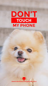 Collection of wallpaper don't touch my phone. Free Download Cute Dont Touch My Phone Dog Wallpapers Dont Touch My Phone 576x1024 For Your Desktop Mobile Tablet Explore 41 Cute Dog Phone Wallpapers Cute Dog Wallpaper Cute