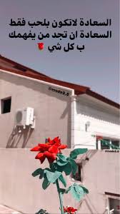 pin by mohammad assem محمد عاصم on z e n a home decor decals girl photography poses home decor