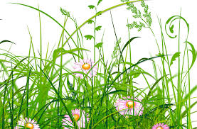 Less than 2 Weeks left to Register for PIT Stop at Early Bird Price