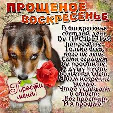 бог простит и я прощаю и вы меня простите Pin By Valentina Lyutvinskaya On Proshennoe Voskresene In 2020 Food Animals Dog Food Recipes Food