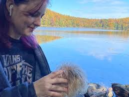 Brian Schade's Instagram, Twitter & Facebook