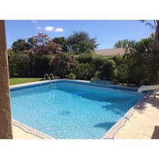Water Warden Pool Safety Net For In Ground Pool Up To 26 Ft X 40 Ft Pool Safety Net Backyard Pool Landscaping Pool Safety