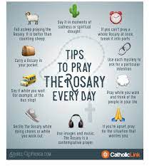 If you are out there promoting the rosary and would like to be considered for how to pray the rosary everyday.com's rosary promoter of the month feature, please contact us and let us know of your efforts! Pin By Dayna Itzel On Cf The Holy Rosary Rosary Prayers Catholic Praying The Rosary Catholic Catholic Beliefs