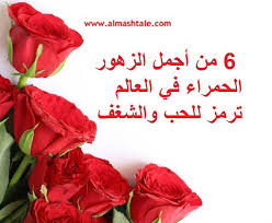 حاكم الزهور زي الستات لكل لون معنى ومغنى كما غنى محمد فوزي اليوم موعدنا مع باقة من أجمل الورود ذات اللون الأحمر وأسمائه Radish Green Vegetables
