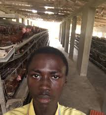 Current price of chicken in kilo In your location