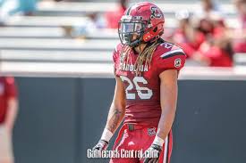 Gamecock football safety Jaylin Dickerson out for 2019 season