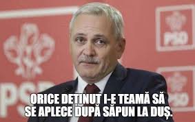 Floricica dansatoarea care are mulți fani a devenit virală în mediul online. Foto Cele Mai Tari Meme Uri Despre Condamnarea Lui Liviu Dragnea Messi Am Luat 3 Dragnea È™i Eu