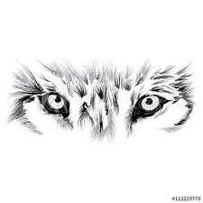Wolf S Face Wolf Eye Tattoo Wolf Eyes Wolf Face Tattoo