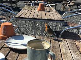 The leisure center at thurnham hall hosts a large swimming pool. Ashton Hall Garden Centre Lancaster Aktuelle 2021 Lohnt Es Sich Mit Fotos