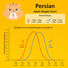 I have five foster kittens. Persian Weight Chart 11pets