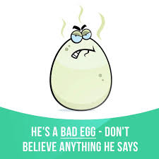 Bad Egg Means Someone Who Behaves In A Bad Or Dishonest Way Example He S A Bad Egg Don T Believe Anything H English Phrases Writing Words English Idioms