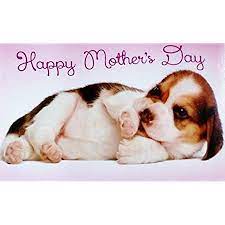 Independent designs · luxe materials · easily personalized Amazon Com Happy Mother S Day From Your Favorite Pup Love You Greeting Card For Mom From Puppy Dog Office Products