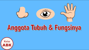 Kelas 01 Inklusi Hyperaktif Atg Anggota Tubuh Dan Fungsinya Video Pelajaran Sekolah K13 Youtube