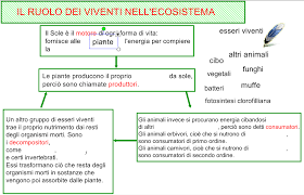 Tentiamo qui di spiegare i concetti, semplificandoli al massimo, di catena alimentare generale. Scienza In Quarta Le Relazioni Tra Viventi Tra Ecologia E Nuove Consapevolezze La Finestra Sull Albero
