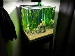 Dennerle Cube 60 L Akvarium